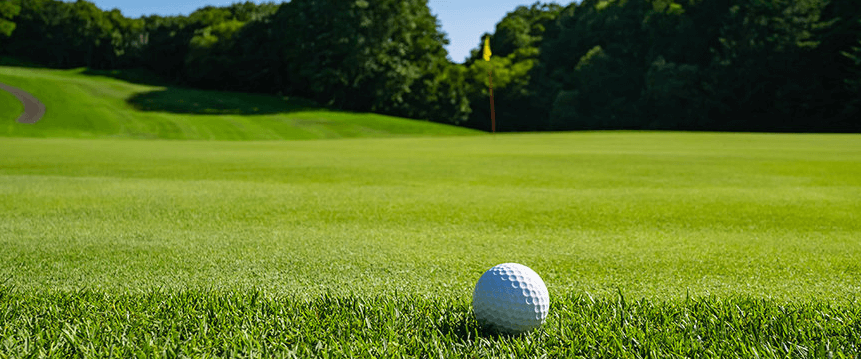 준비중입니다.01